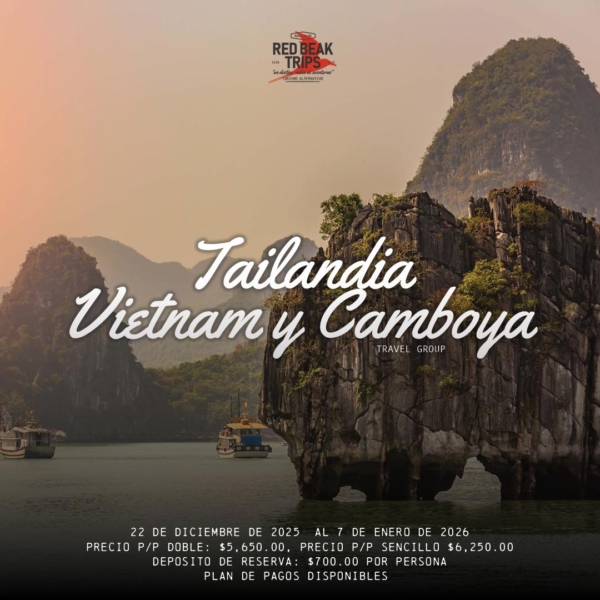 tapa tai viet cam grupal