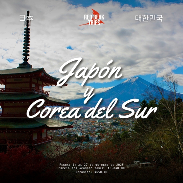 coreajapon