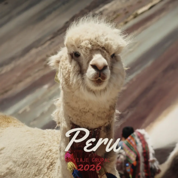 peru viaje grupal 2026 red beak trips