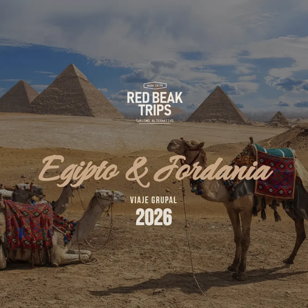 egipto y jordania viaje
