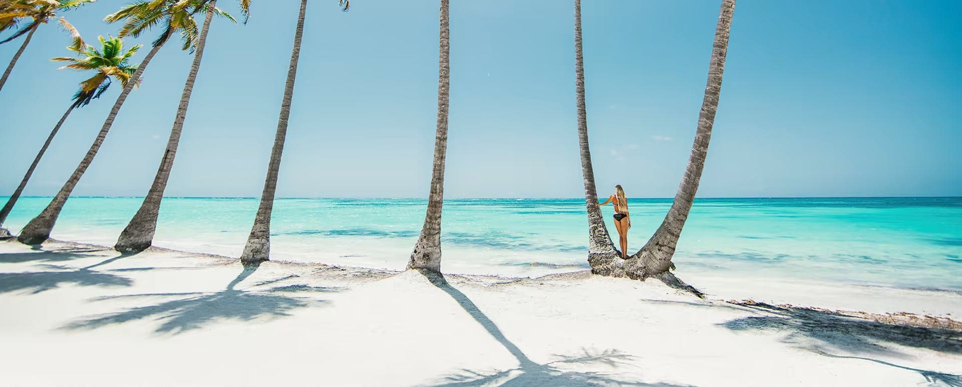 p1